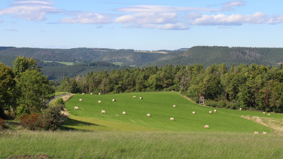Bei Bhlscheiben - Bildautor: Matthias Pihan, 18.09.2025