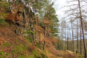 Der Fuchstischweg bei Schwarzburg - Bildautor: Matthias Pihan, 11.01.2015