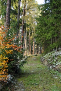 Oberhalb des Schwarzatals in der Nhe des Ottmannsgraben - Bildautor: Matthias Pihan, 13.11.2016