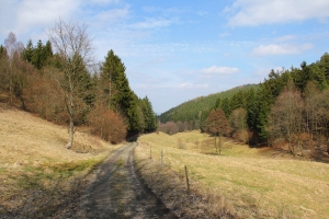 Im Birkenheider Tal - Bildautor: Matthias Pihan, 02.04.2018