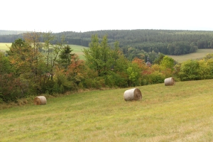 Am Singer Berg - Bildautor: Matthias Pihan, 22.09.2018