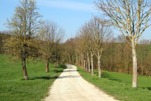 Bei Teichrda zur Wstung Hopfgarten - Bildautor: Matthias Pihan, 17.04.2019