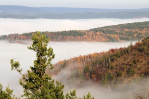 Nebel in den Tlern unterhalb der Preilipper Kuppe - Bildautor: Matthias Pihan, 23.11.2019