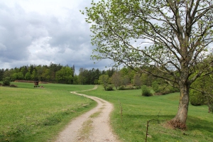 An der Wstung Volkersdorf - Bildautor: Matthias Pihan, 29.04.2020