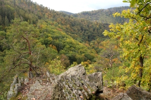 Blick ins Schwarzatal - Bildautor: Matthias Pihan, 18.10.2020