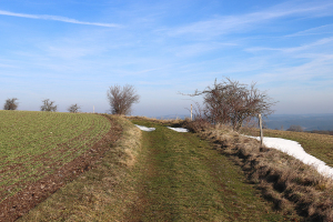 Bei Oberhain - Bildautor: Matthias Pihan, 16.02.2023