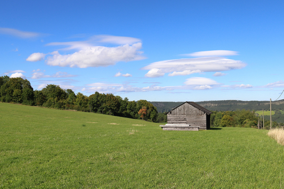  Bei Bhlscheiben<br />