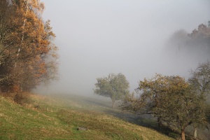 An der Nebelgrenze bei Oberwirbach - Bildautor: Matthias Pihan. 14.11.2012